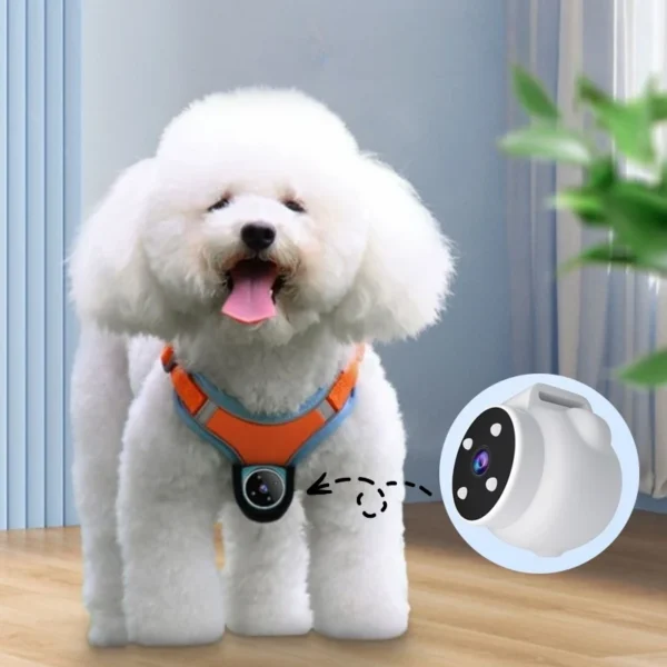 Pet Tracker Camera with Motion Recording 1