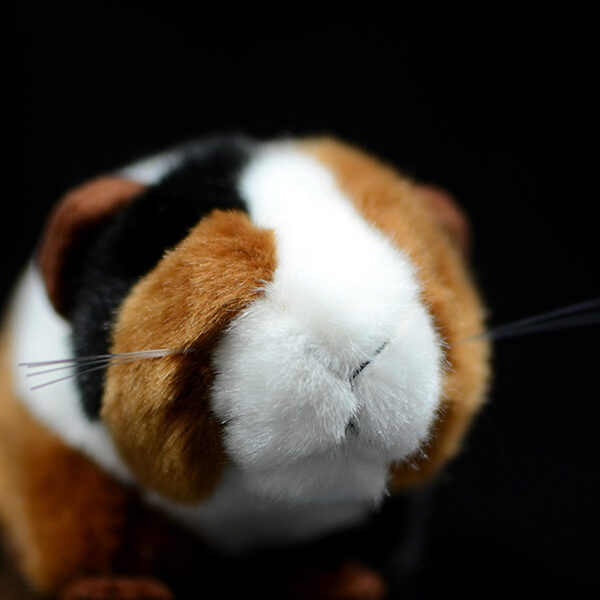 Realistic Guinea Pig Plush 3