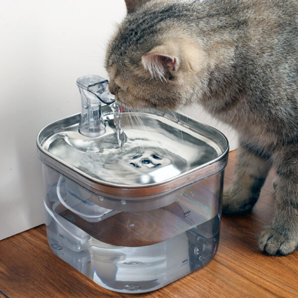 Pet Automatic Water Dispenser 1