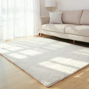 Plush Carpet for Living Room and Bedroom